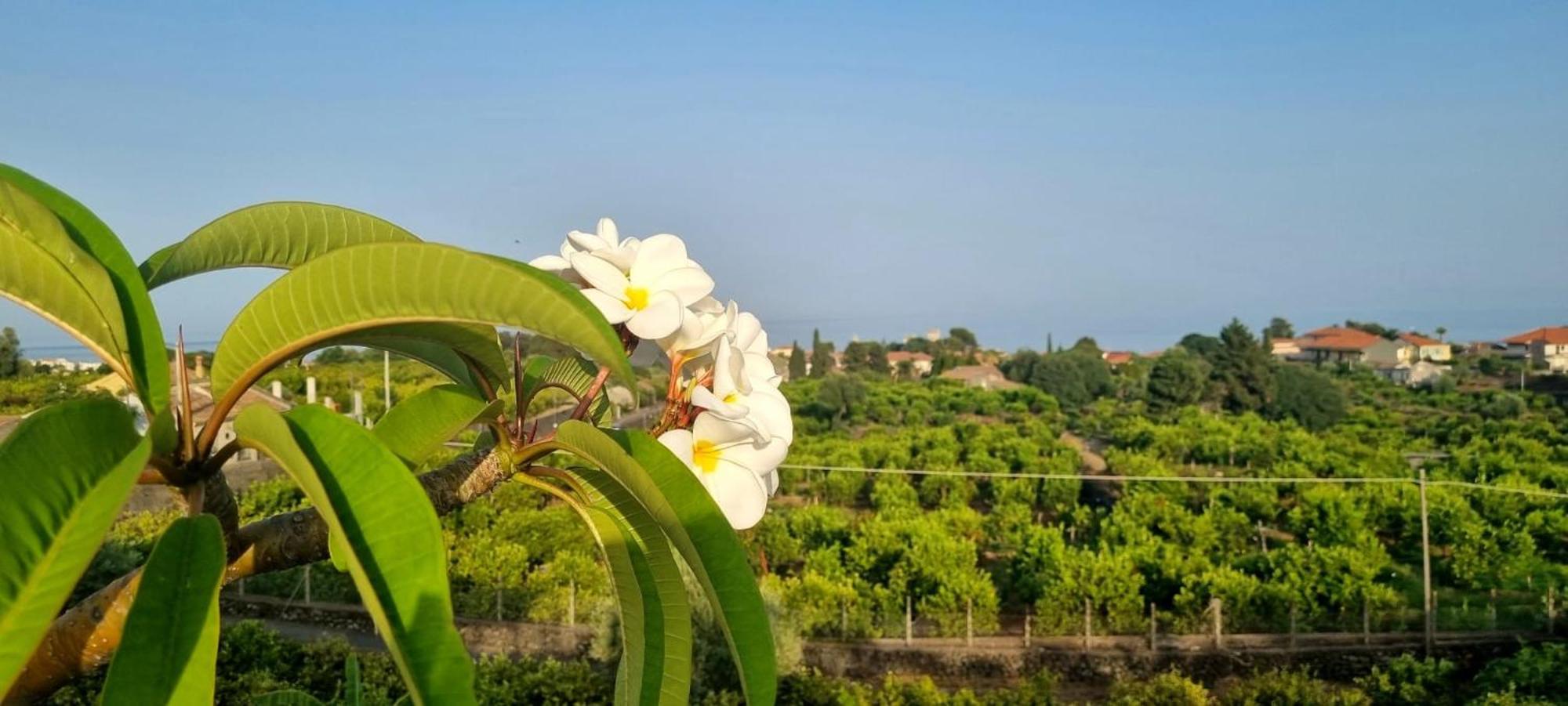 Casa Mariano Villa Acireale Ngoại thất bức ảnh